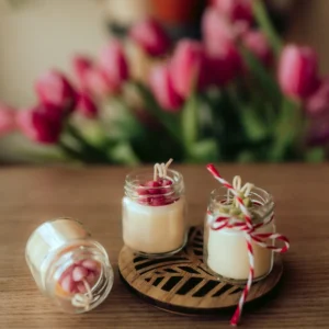 Lumânare mărțișor borcănel cu succulent